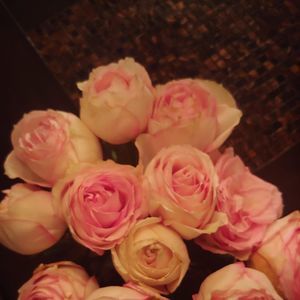 Meet your Posher, Jenney